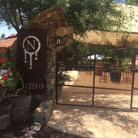 Guest House Nativo - Charming, Cozy & Affordable Valle de Guadalupe Bagian luar foto