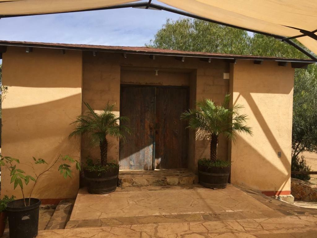 Guest House Nativo - Charming, Cozy & Affordable Valle de Guadalupe Bagian luar foto
